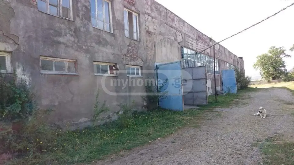 For Sale Satsarmoo Commercial Space Sagarejoshi view 1