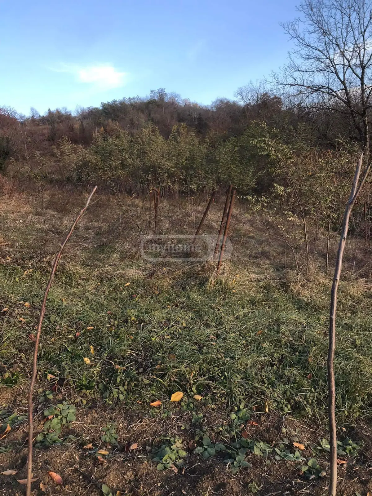 For Sale Sasoplo-Sameurneo Land Plot Ambrolaurshi view 4