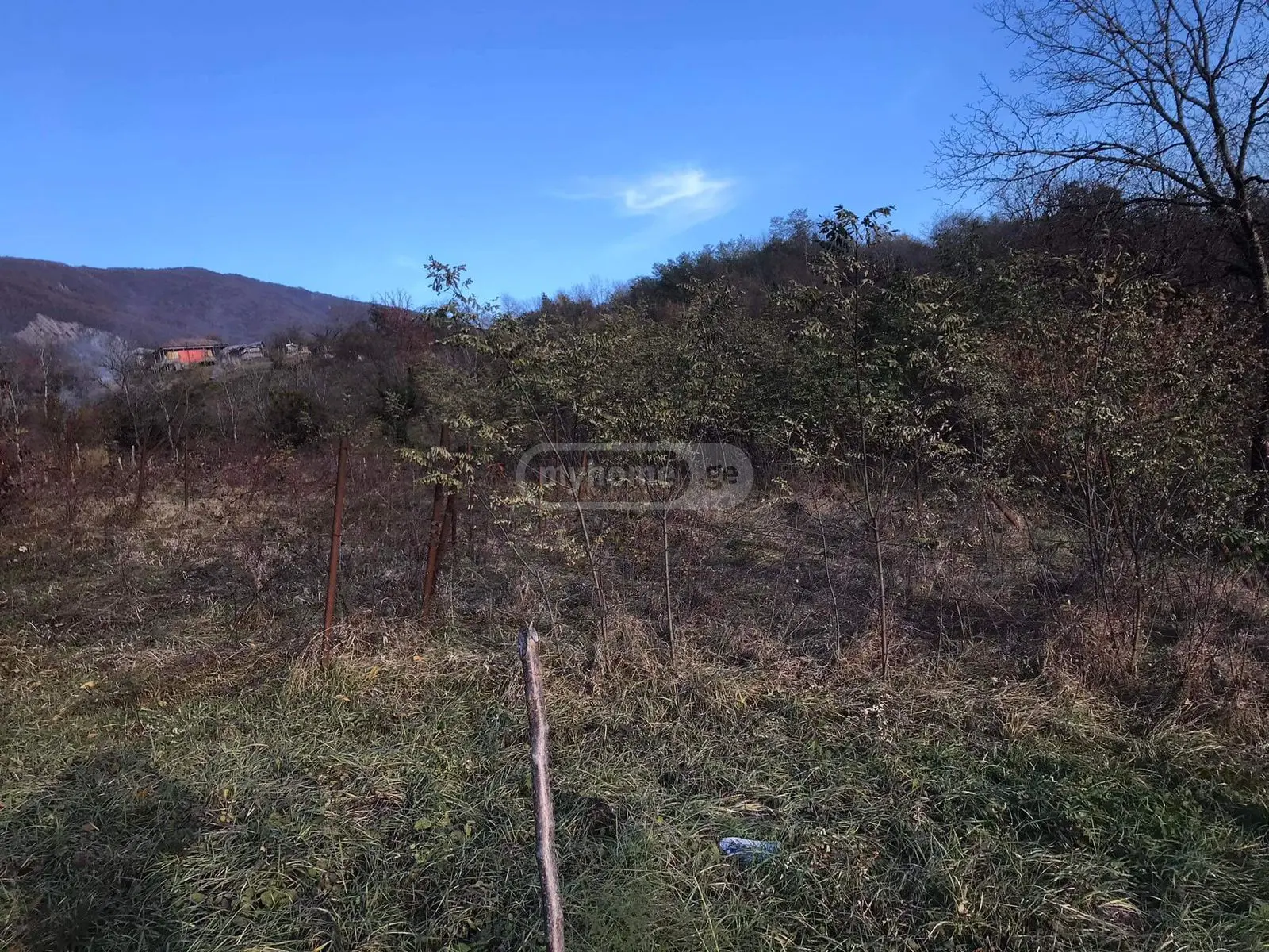 For Sale Sasoplo-Sameurneo Land Plot Ambrolaurshi view 3