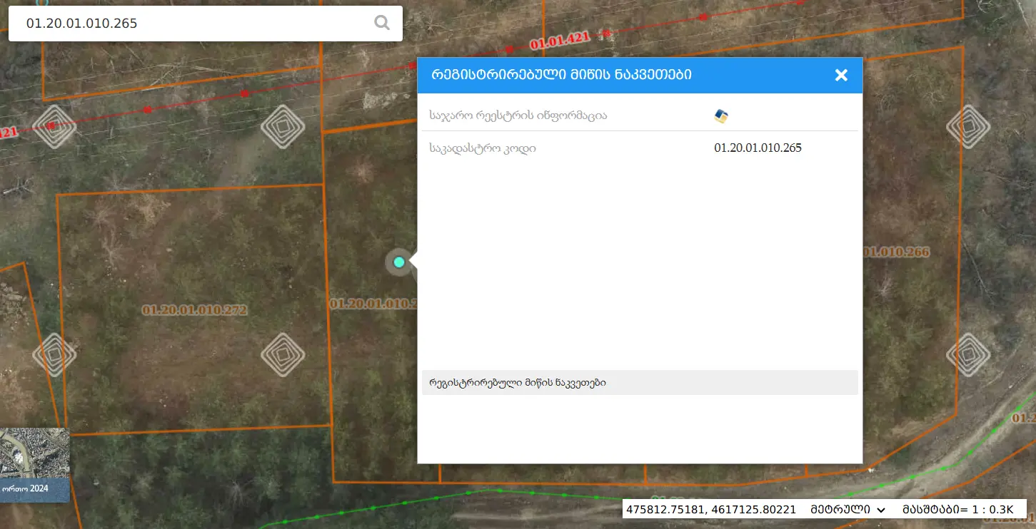 For Sale Sasoplo-Sameurneo Land Plot Bagebshi view 4