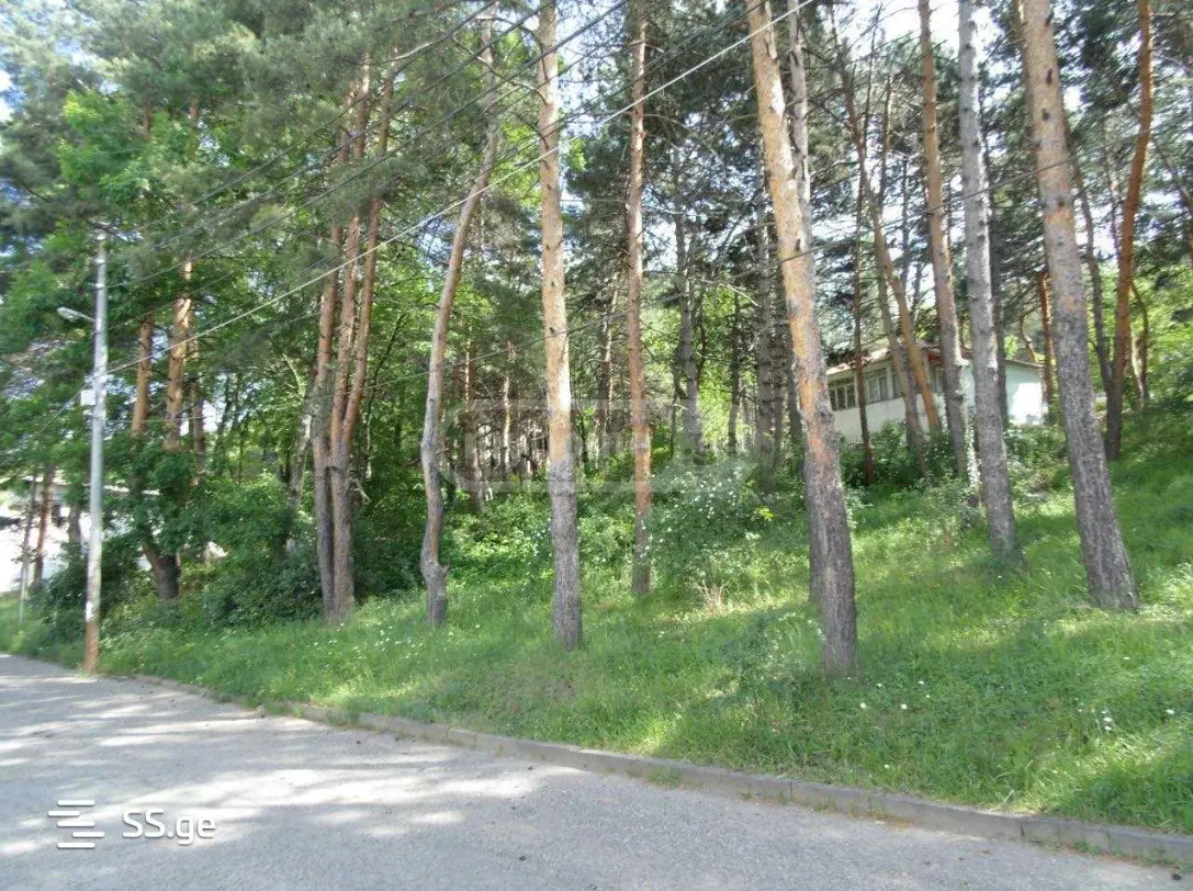 For Sale Sasoplo-Sameurneo Land Plot Bagebshi view 1