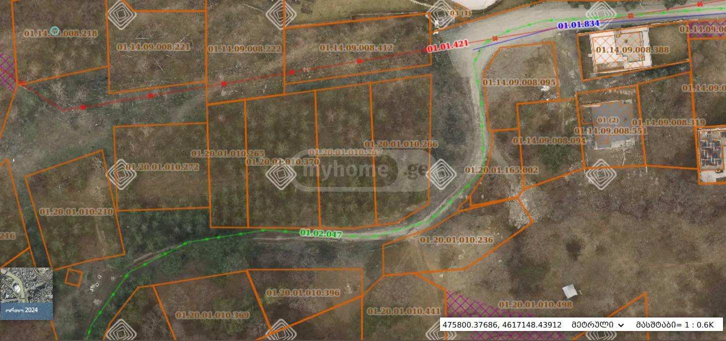 For Sale Sasoplo-Sameurneo Land Plot Bagebshi view 2