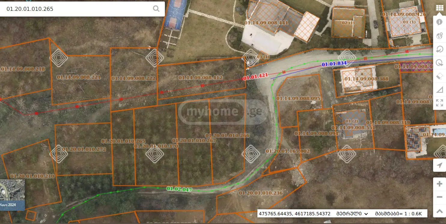 For Sale Sasoplo-Sameurneo Land Plot Bagebshi view 3