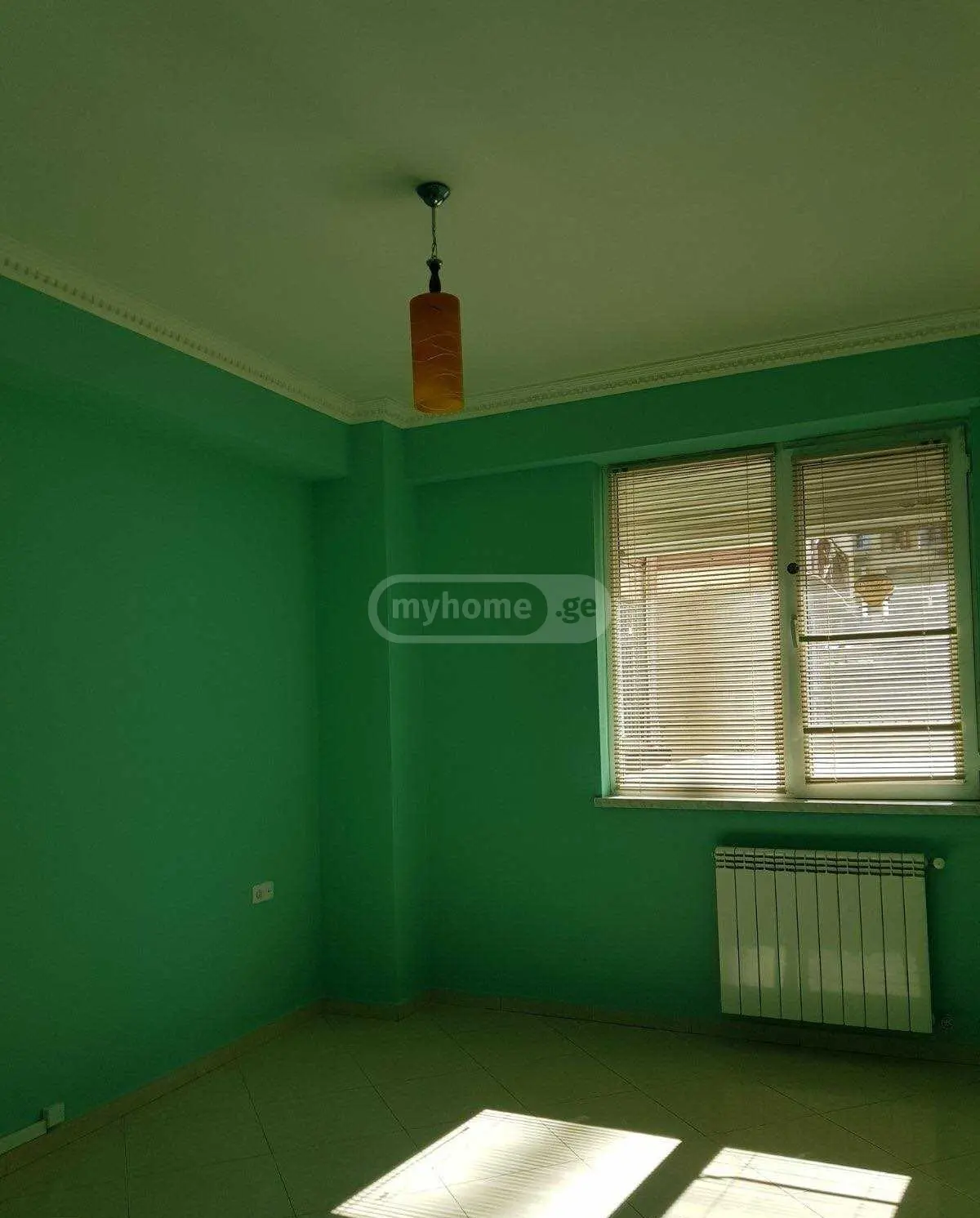For Rent Universaluri Commercial Space Krtsanisshi view 9