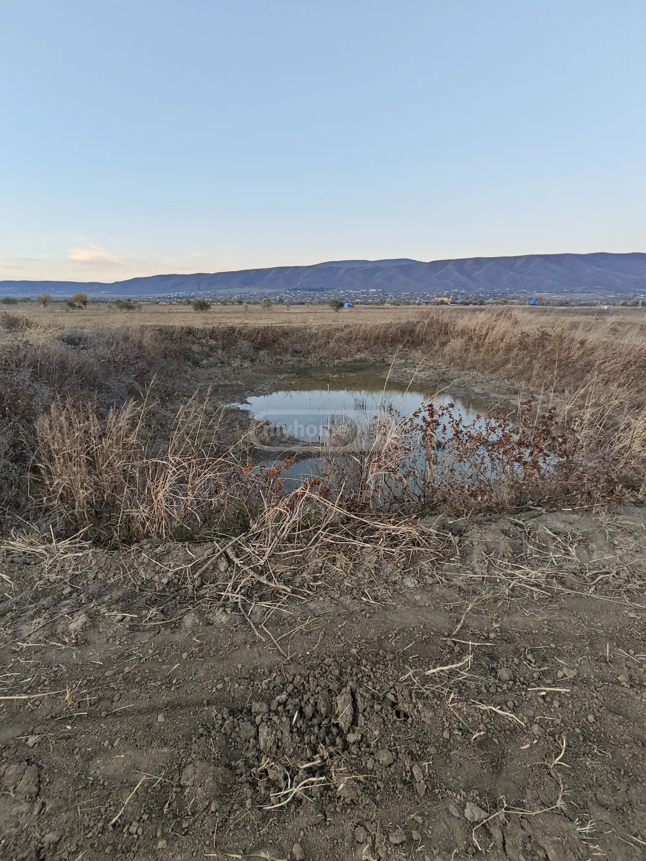 For Sale Sasoplo-Sameurneo Land Plot Mtskhetis Munitsipalitetshi view 7