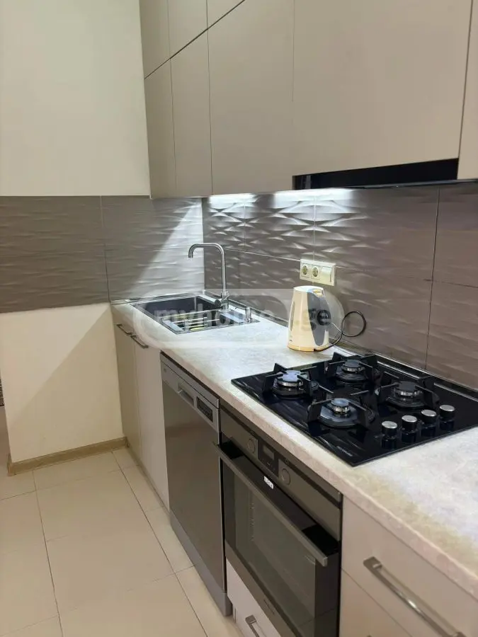 Daily Rent 3 Room Apartment Isanshi view 2