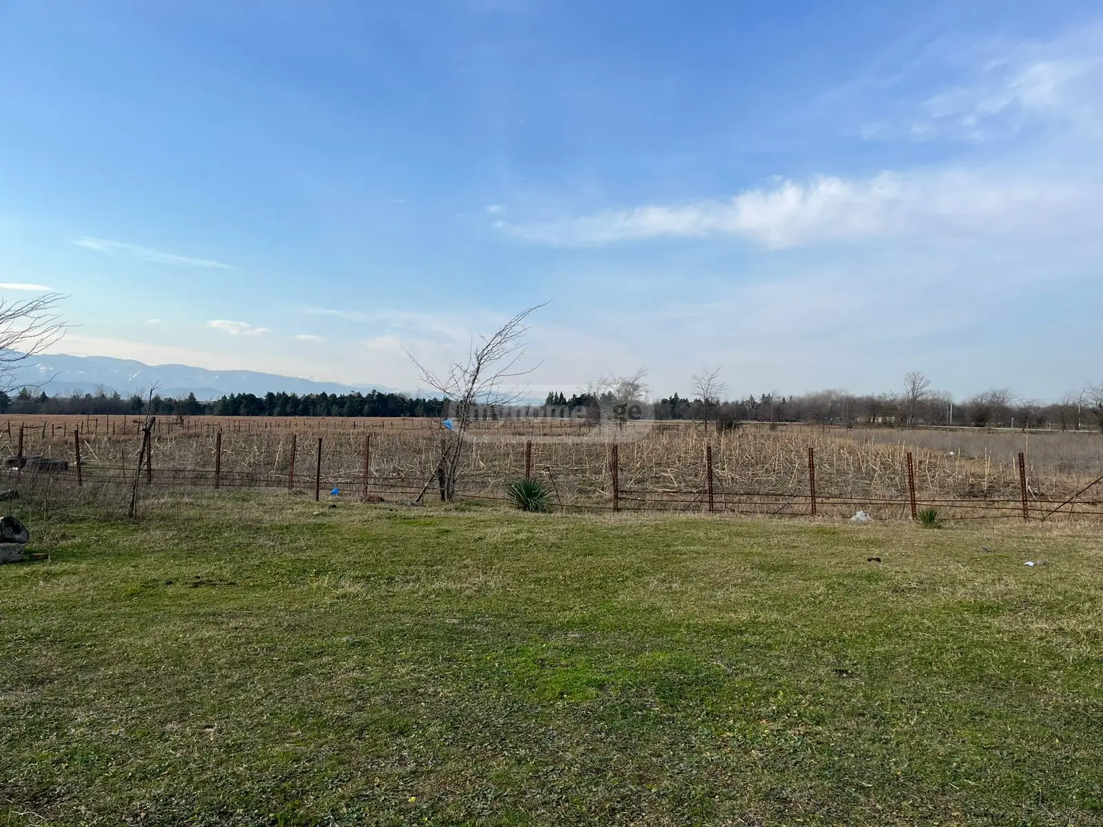 For Sale Sasoplo-Sameurneo Land Plot Kutaisshi view 6