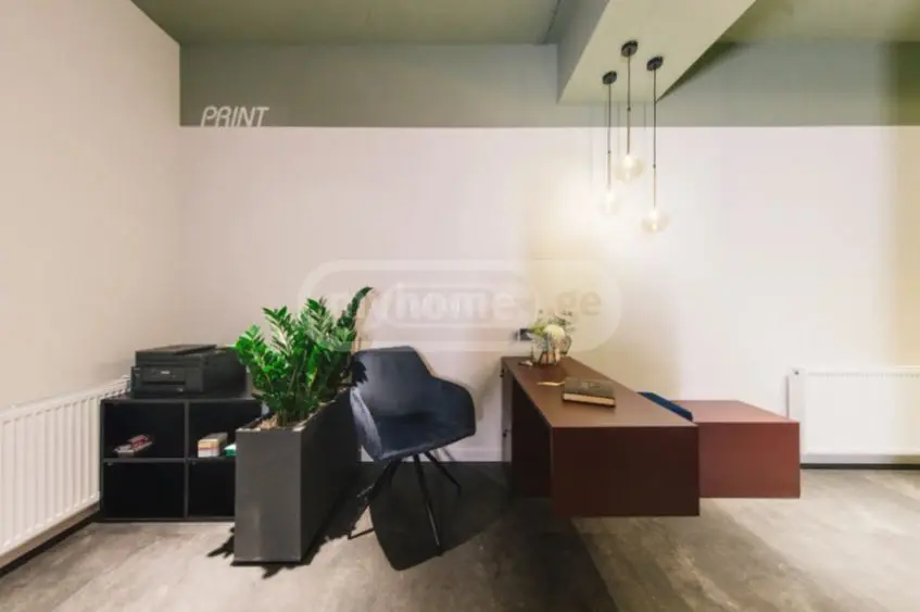 For Rent Saopise Commercial Space Veraze view 2
