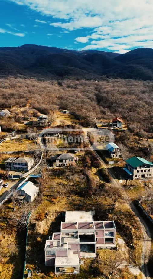 For Sale 10+ Room Country House Dushetshi view 9