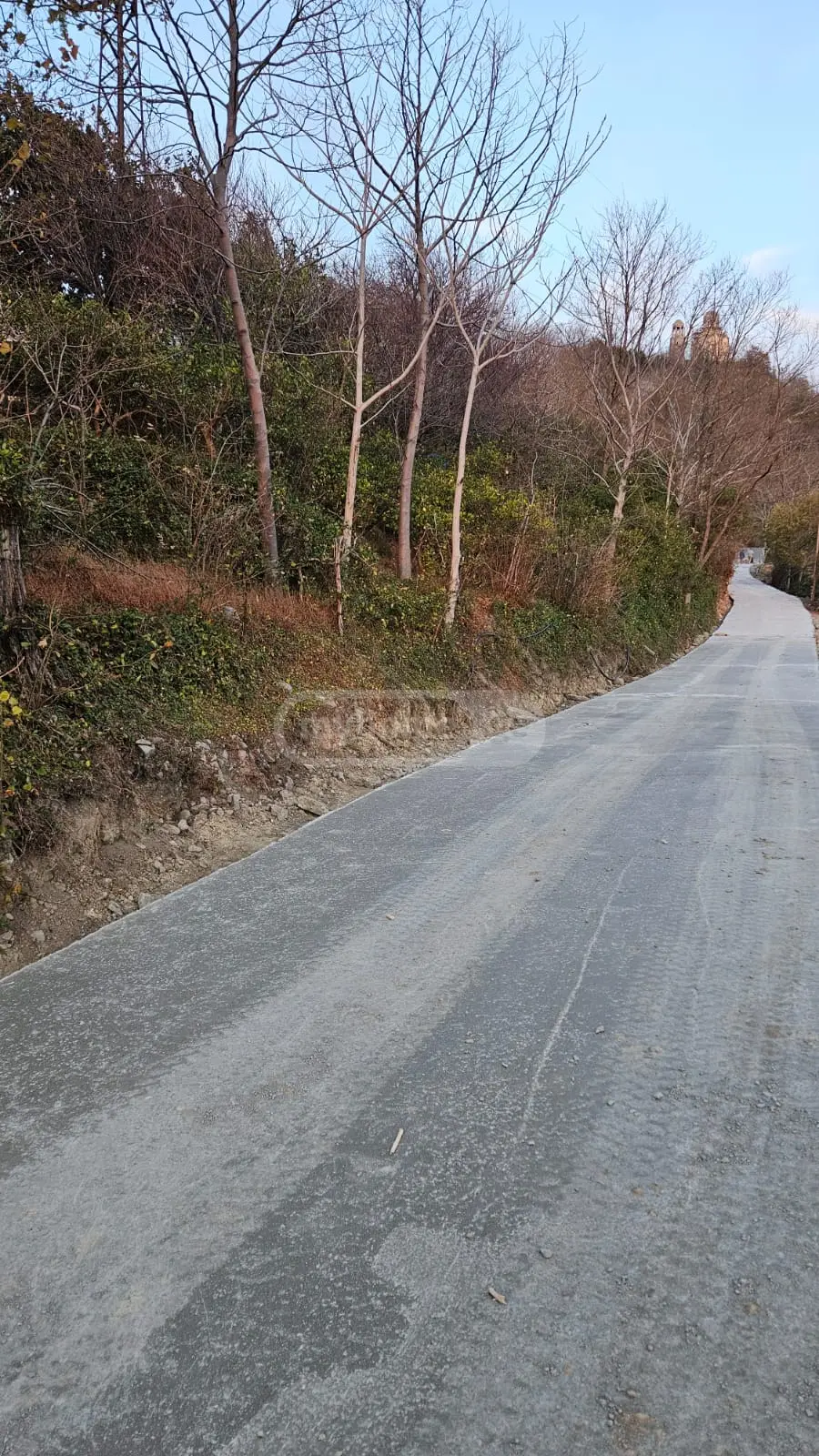For Sale Sasoplo-Sameurneo Land Plot In Batumi view 4