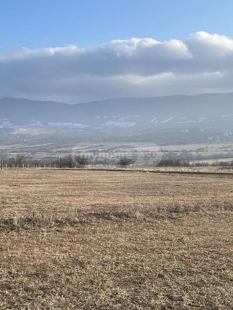 Продажа Земля / участок в Tianetis Munitsipalitetshi view 1