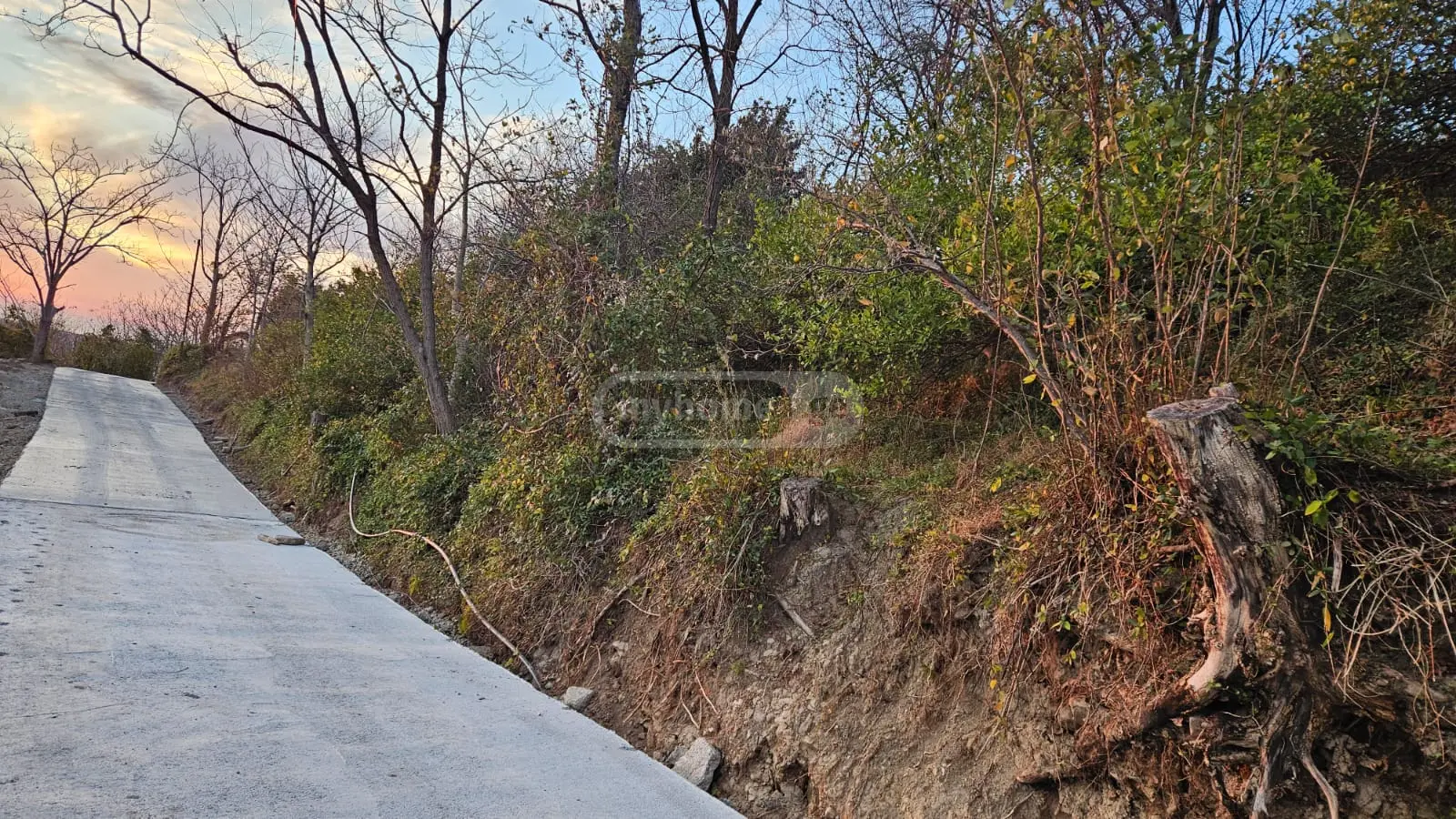 For Sale Sasoplo-Sameurneo Land Plot In Batumi view 3
