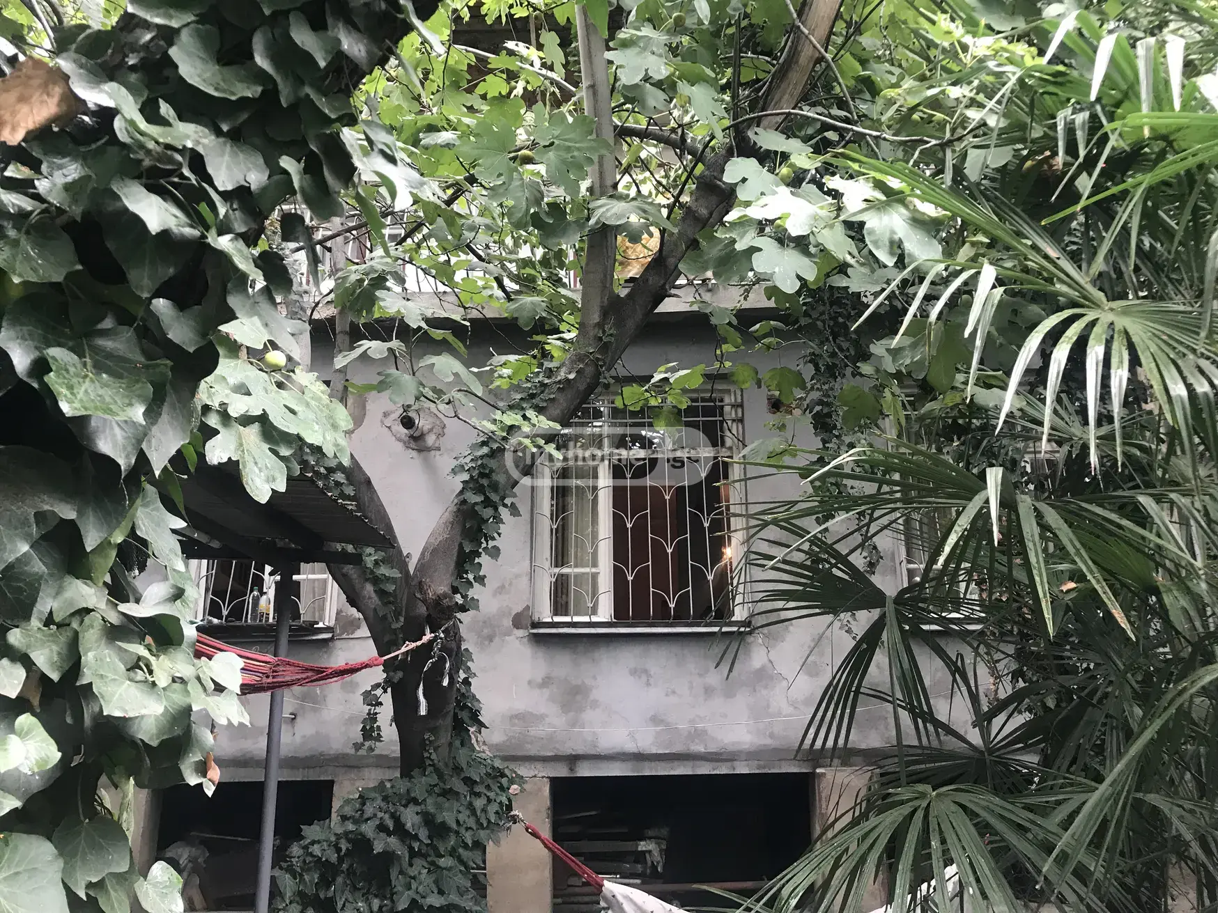 For Rent 8 Room Private House view 8