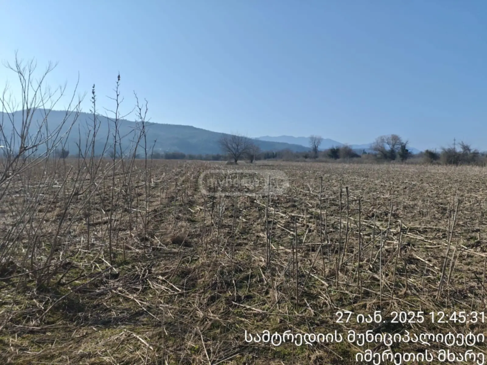 For Sale Sasoplo-Sameurneo Land Plot Samtrediashi view 3