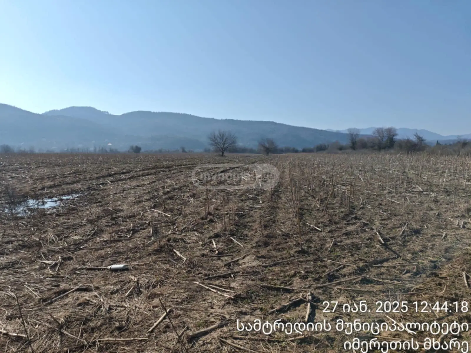 For Sale Sasoplo-Sameurneo Land Plot Samtrediashi view 4
