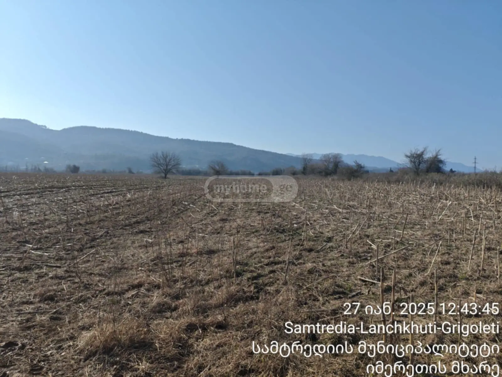For Sale Sasoplo-Sameurneo Land Plot Samtrediashi view 2