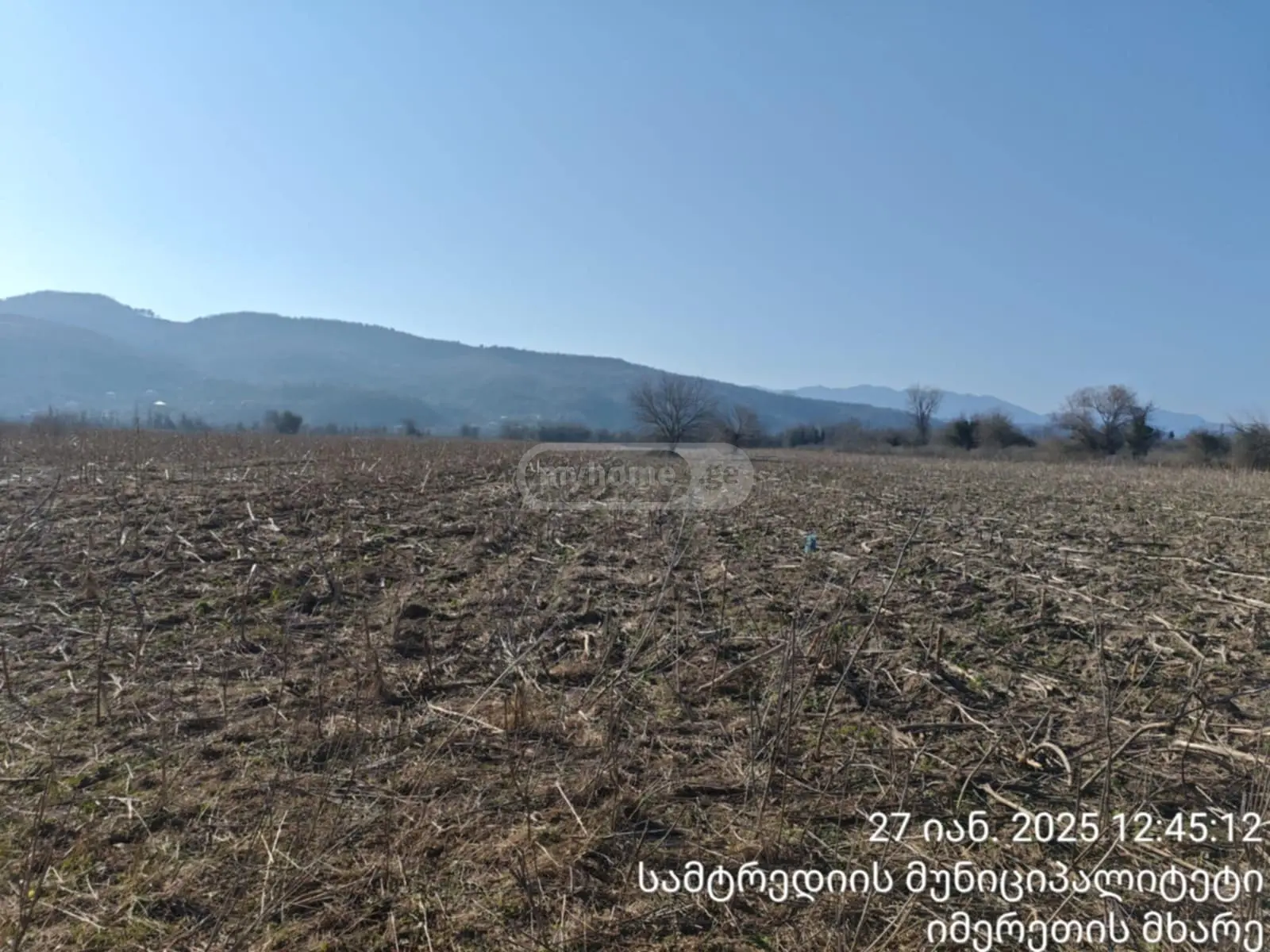 For Sale Sasoplo-Sameurneo Land Plot Samtrediashi view 2