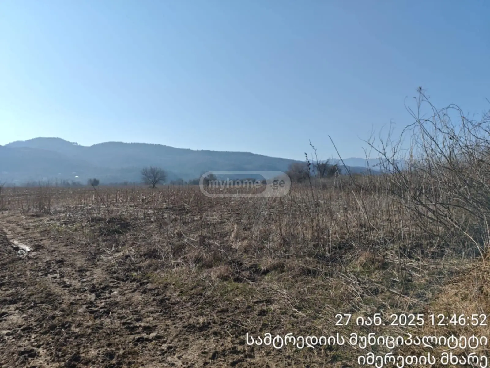 For Sale Sasoplo-Sameurneo Land Plot Samtrediashi view 3