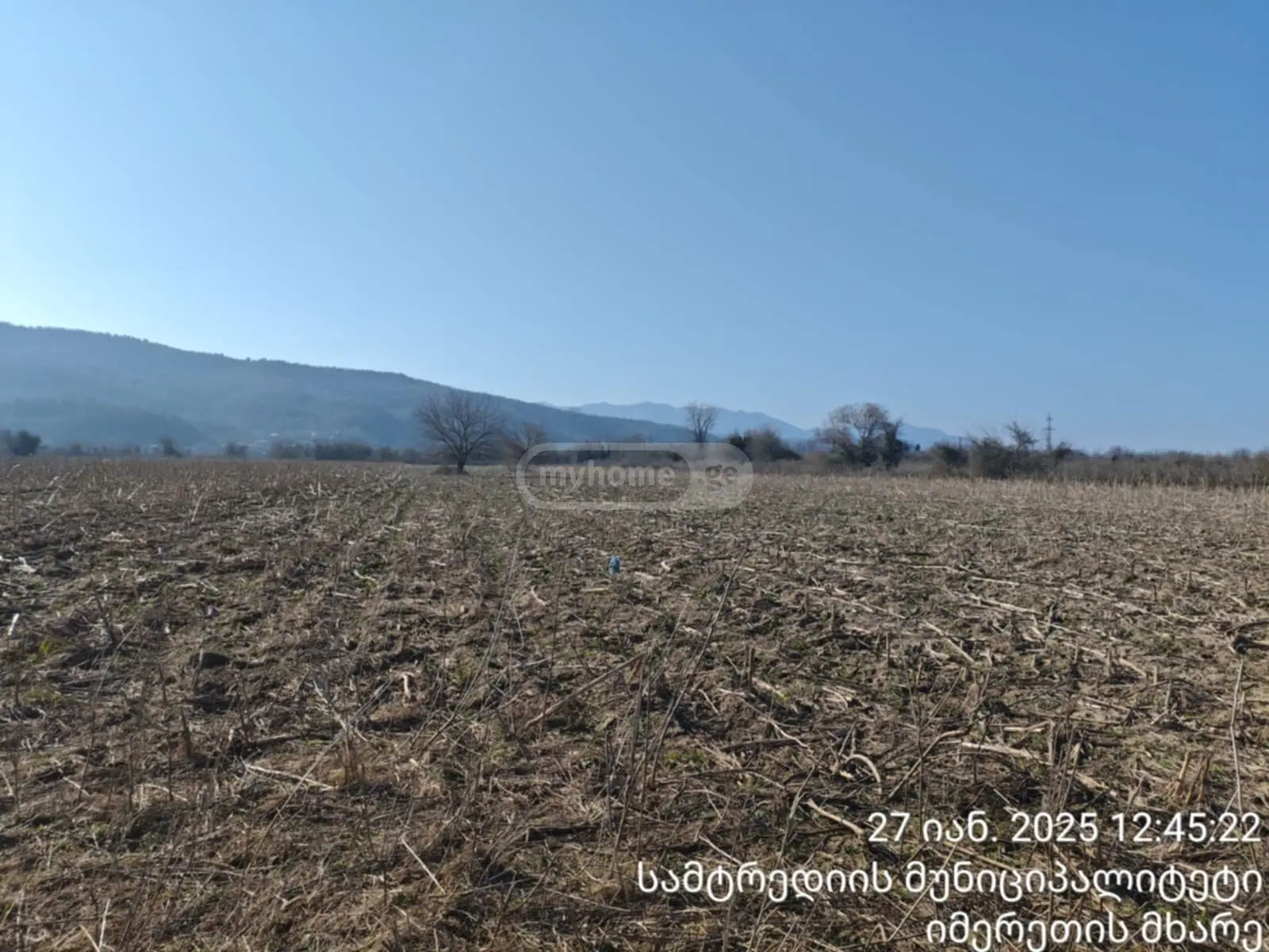 For Sale Sasoplo-Sameurneo Land Plot Samtrediashi view 1