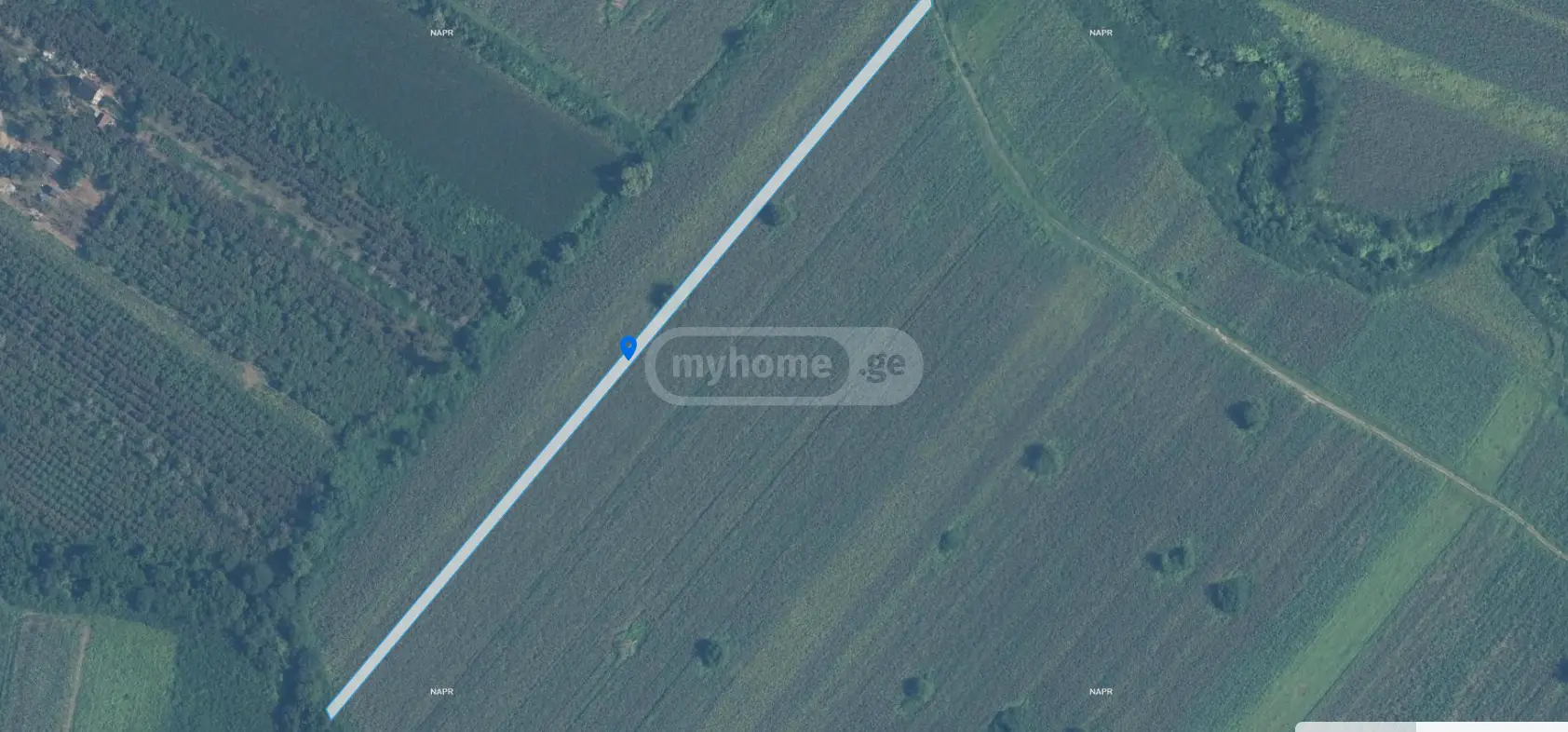 For Sale Sasoplo-Sameurneo Land Plot Samtrediashi view 6