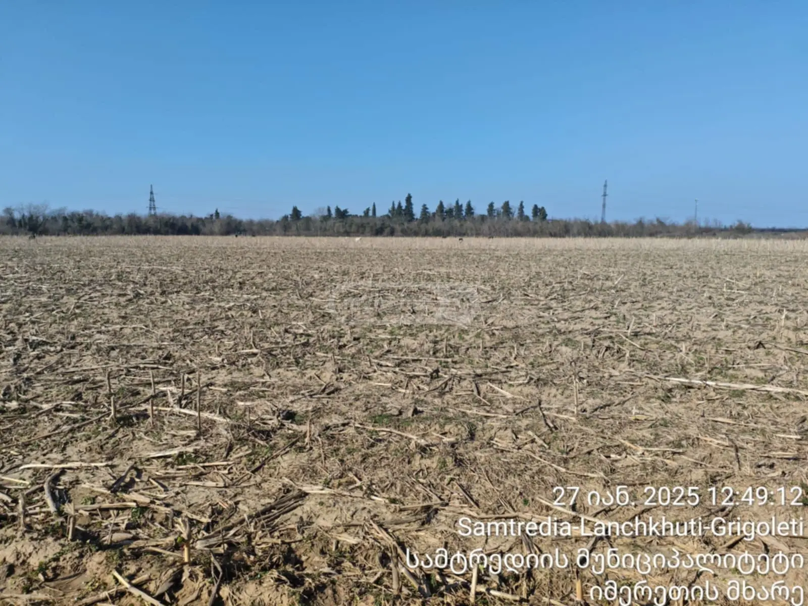 For Sale Sasoplo-Sameurneo Land Plot Samtrediashi view 1