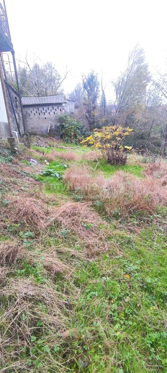 For Sale Sasoplo-Sameurneo Land Plot Khelvachauris Munitsipalitetshi view 3
