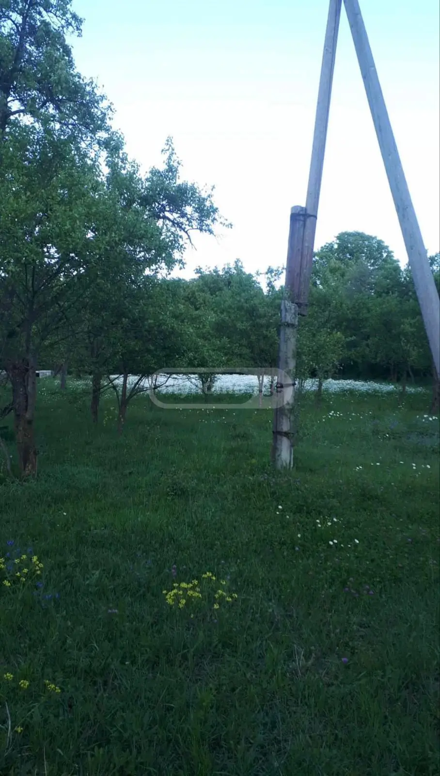 იყიდება მიწა / ნაკვეთი Abastumanshiში view 1