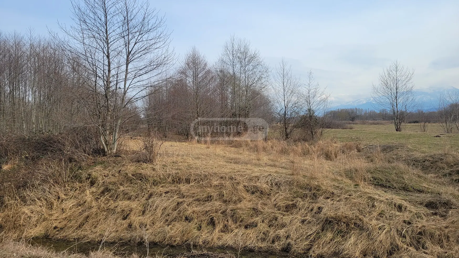 Продажа Земля / участок в Ozurgetshi view 5