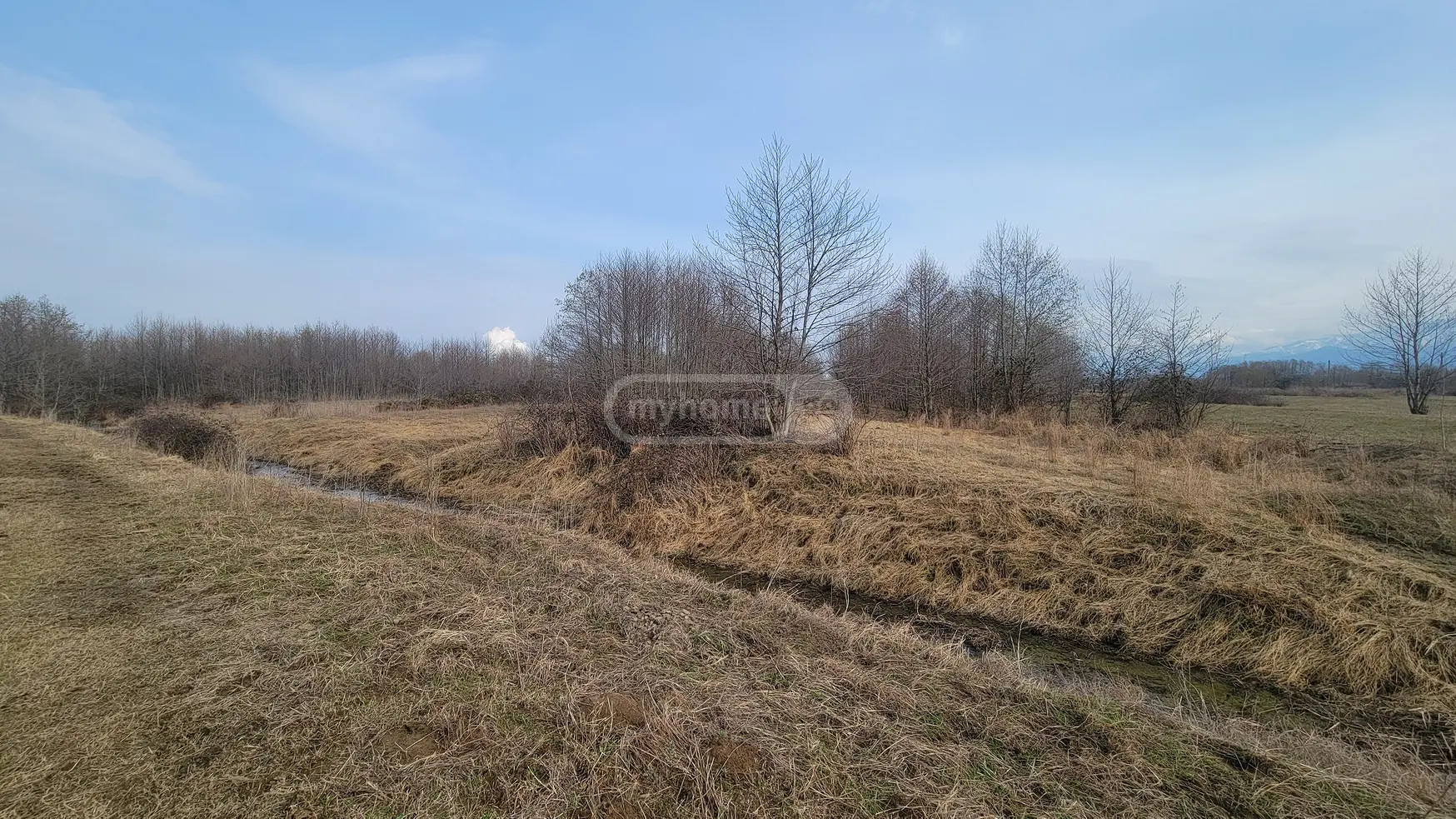 Продажа Земля / участок в Ozurgetshi view 4