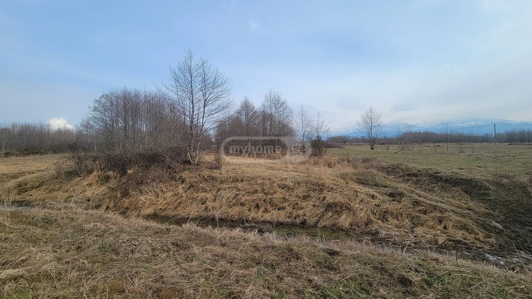 Продажа Земля / участок в Ozurgetshi view 2