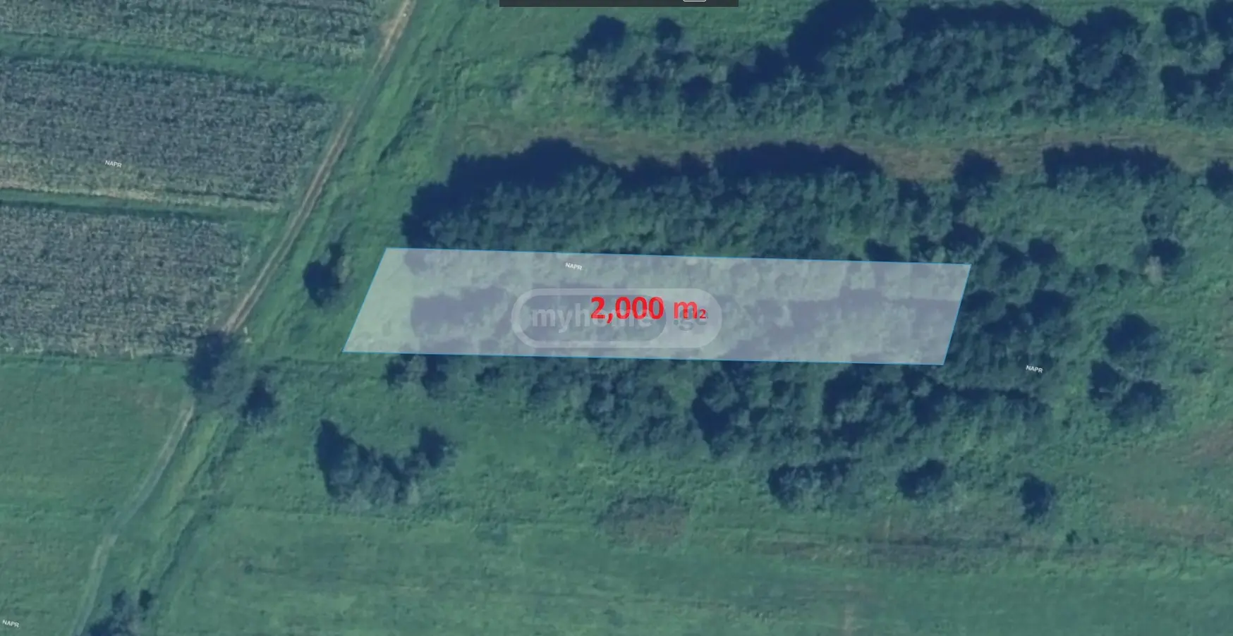 Продажа Земля / участок в Ozurgetshi view 6