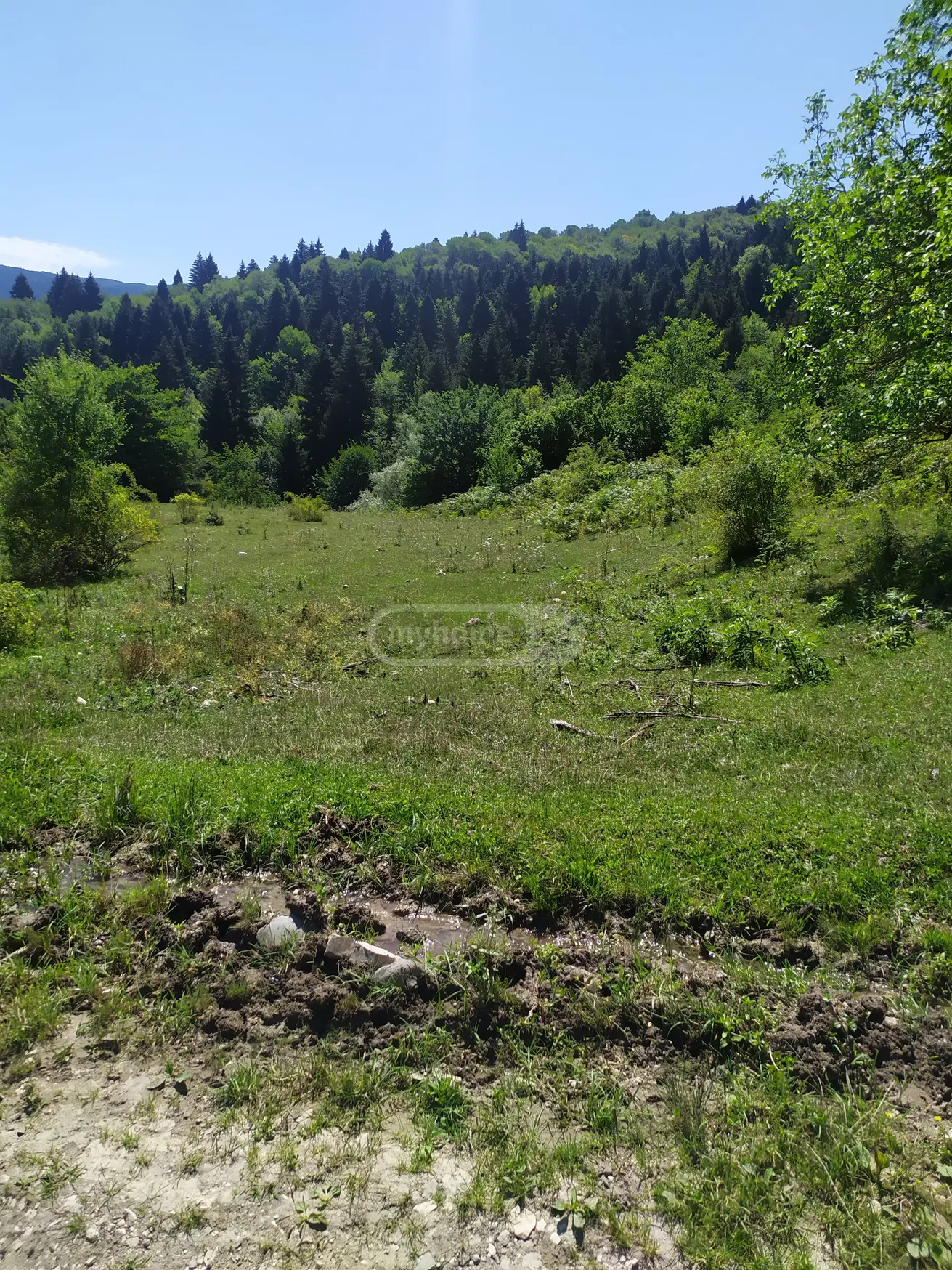 For Sale Sasoplo-Sameurneo Land Plot Ambrolaurshi view 2