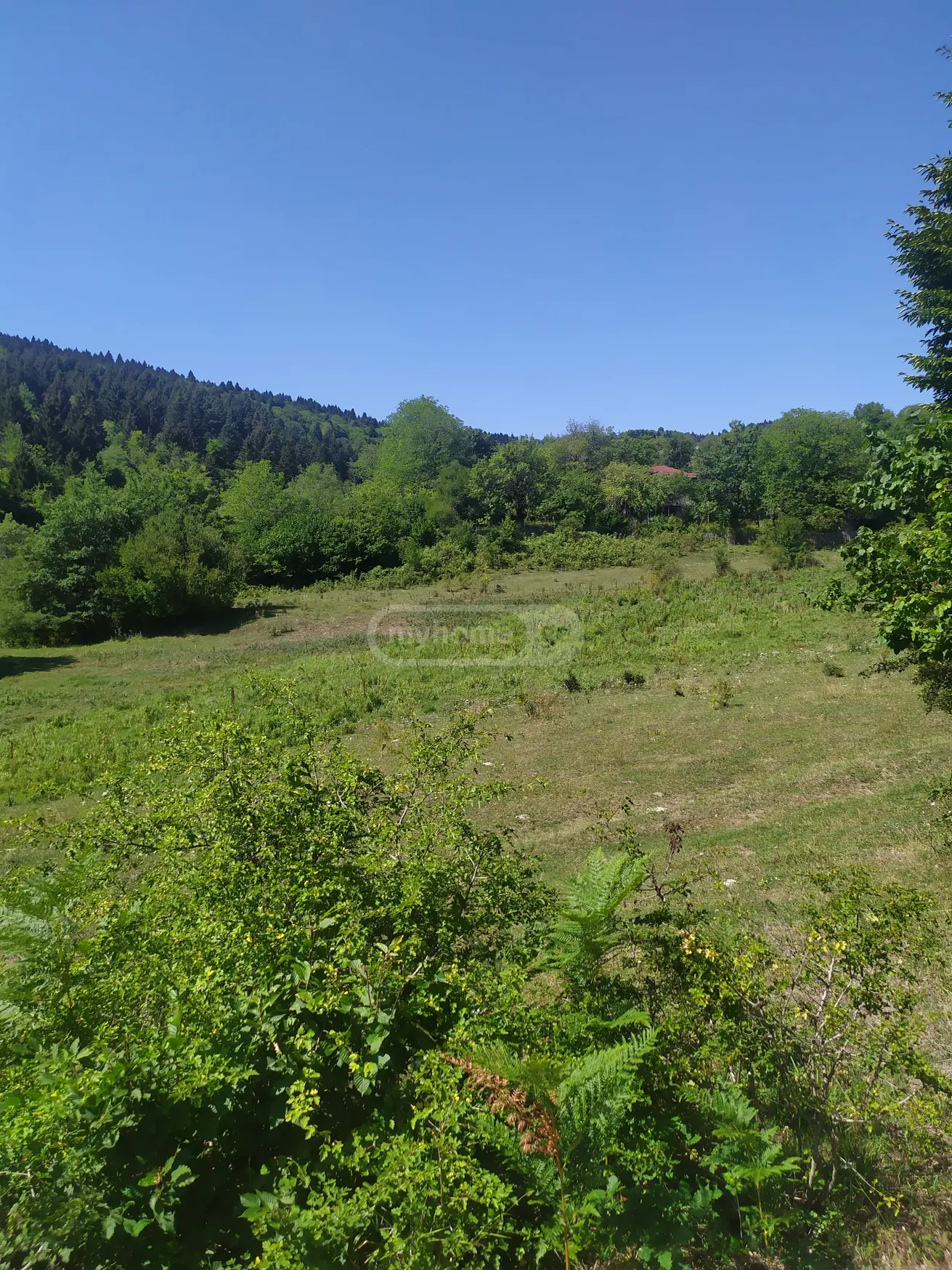 For Sale Sasoplo-Sameurneo Land Plot Ambrolaurshi view 4