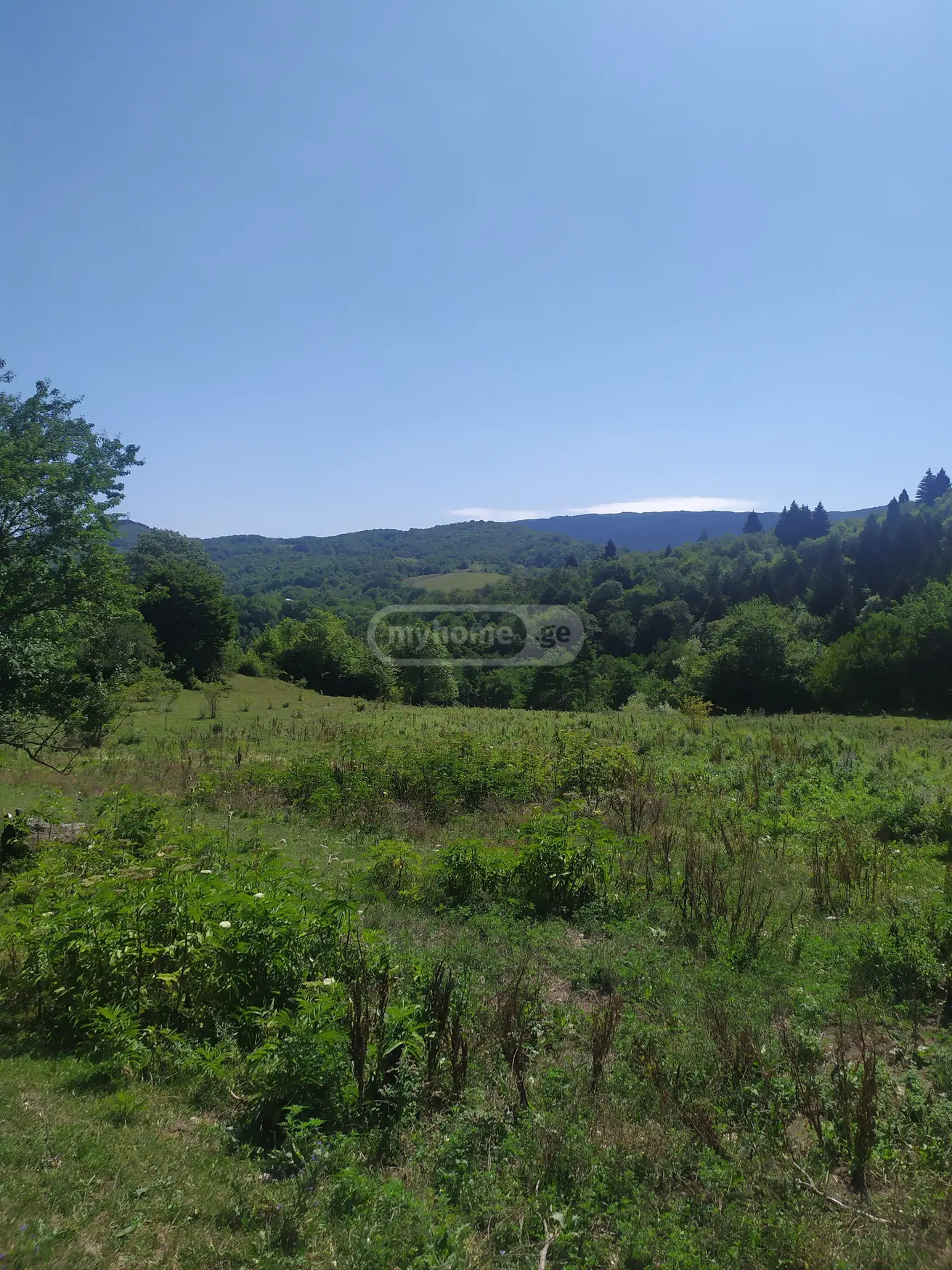 For Sale Sasoplo-Sameurneo Land Plot Ambrolaurshi view 3