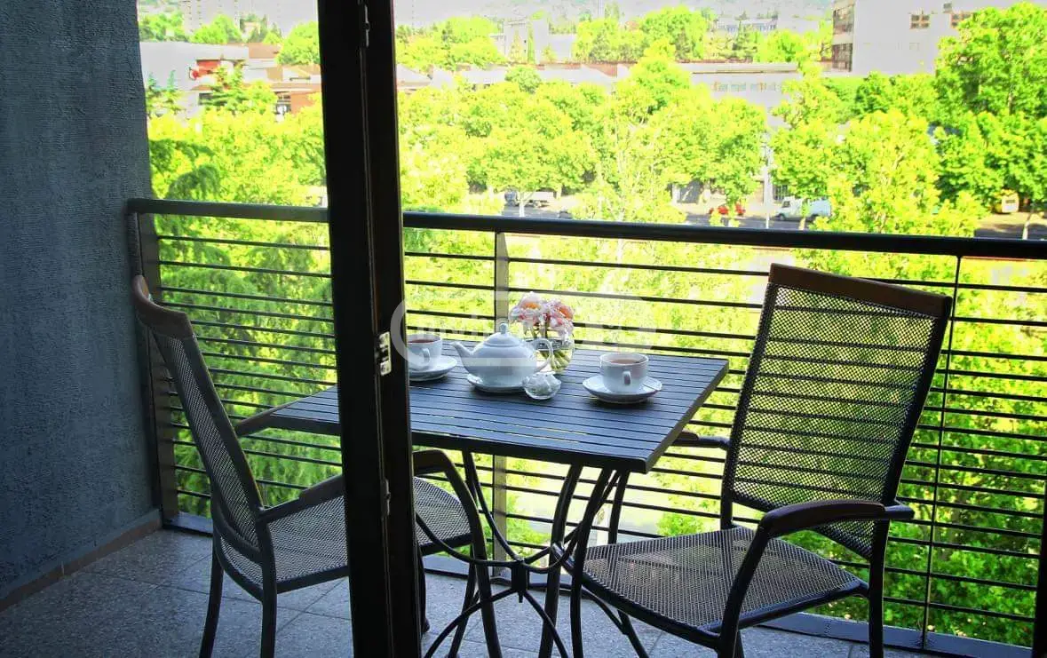For Sale 10+ Room Sastumro Didubeshi view 10