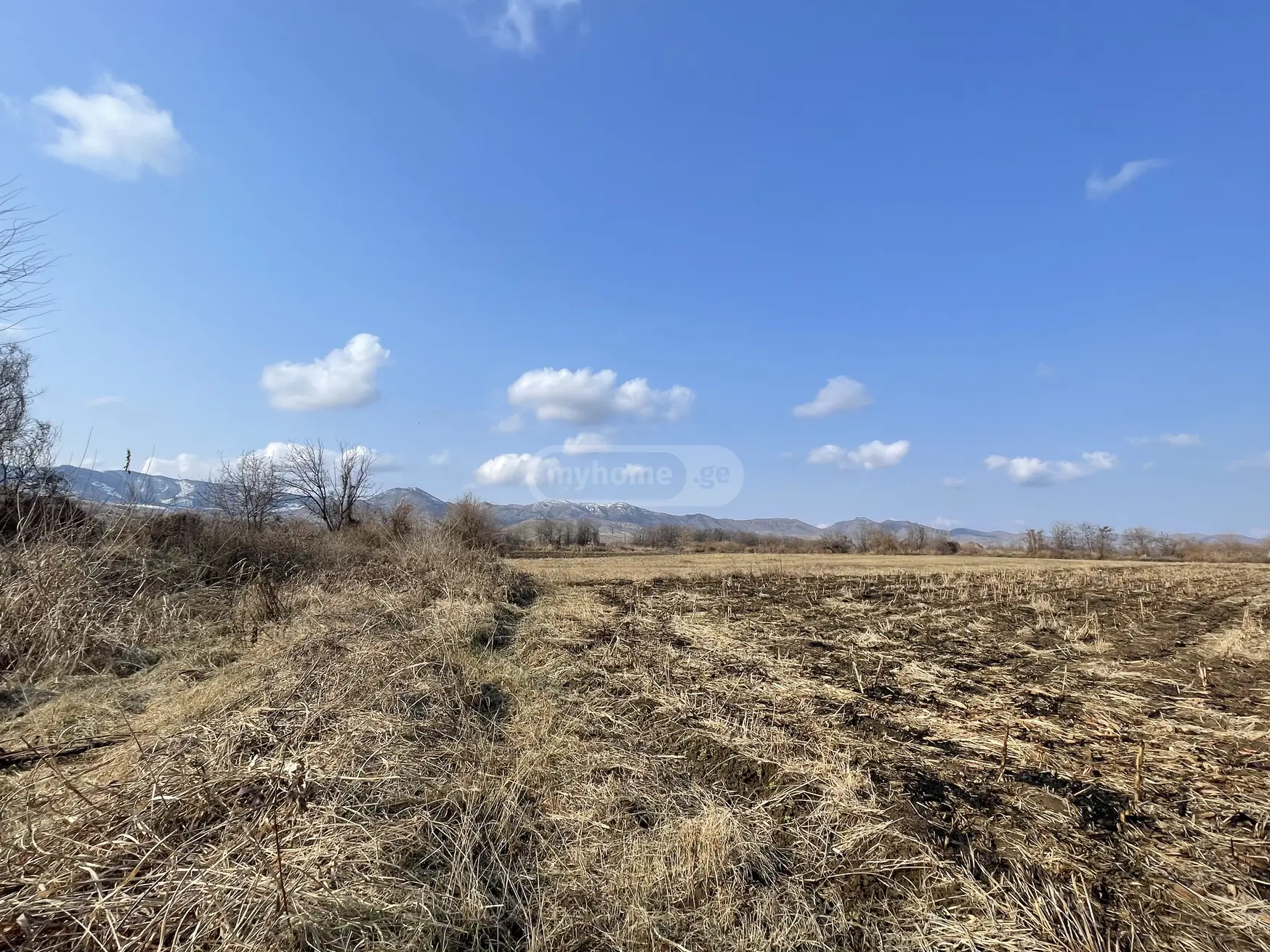 For Sale Sasoplo-Sameurneo Land Plot Marneulshi view 3