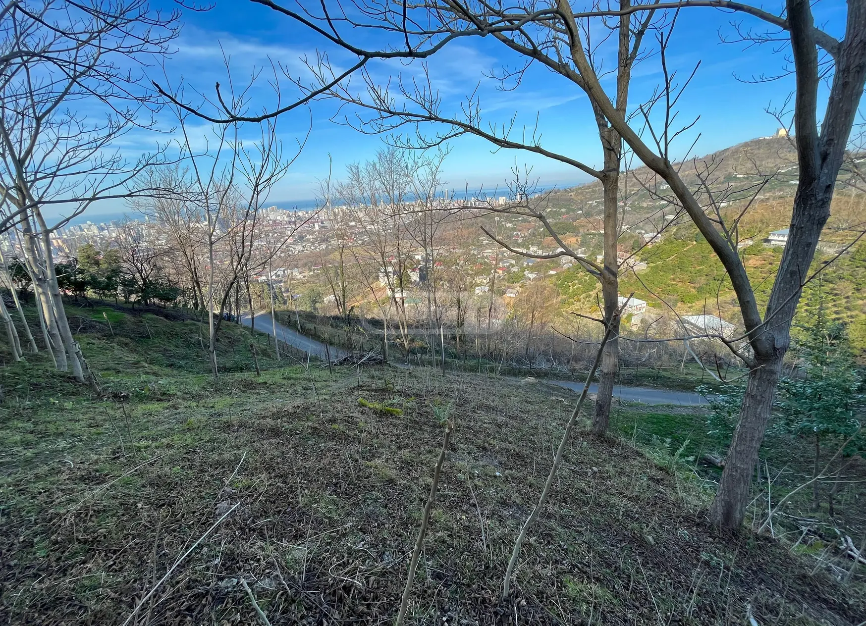 For Sale Spetsialuri Land Plot In Batumi view 3