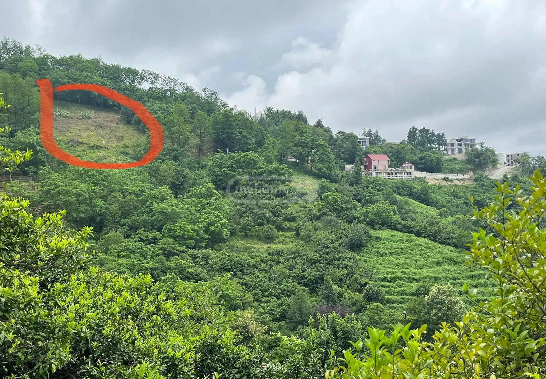 For Sale Spetsialuri Land Plot In Batumi view 4