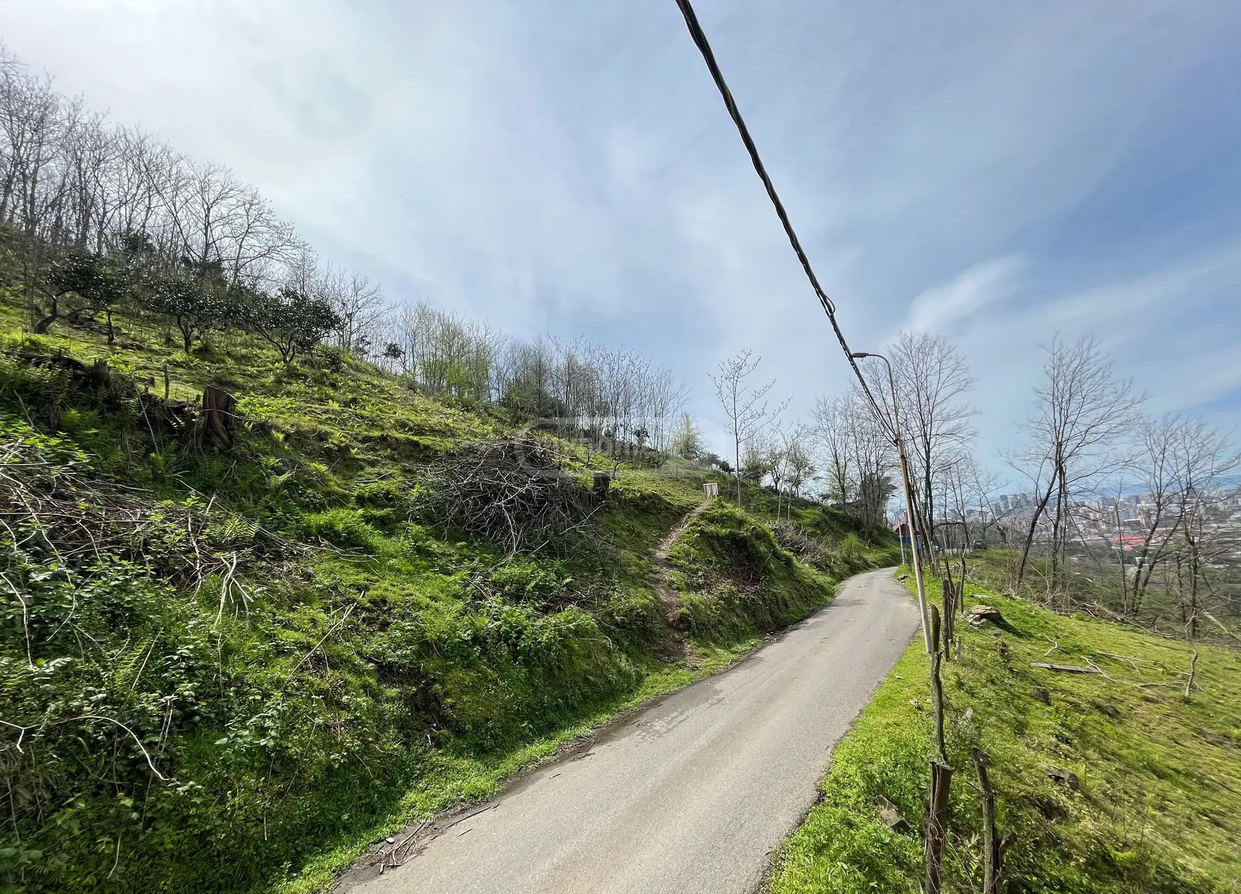For Sale Spetsialuri Land Plot In Batumi view 2
