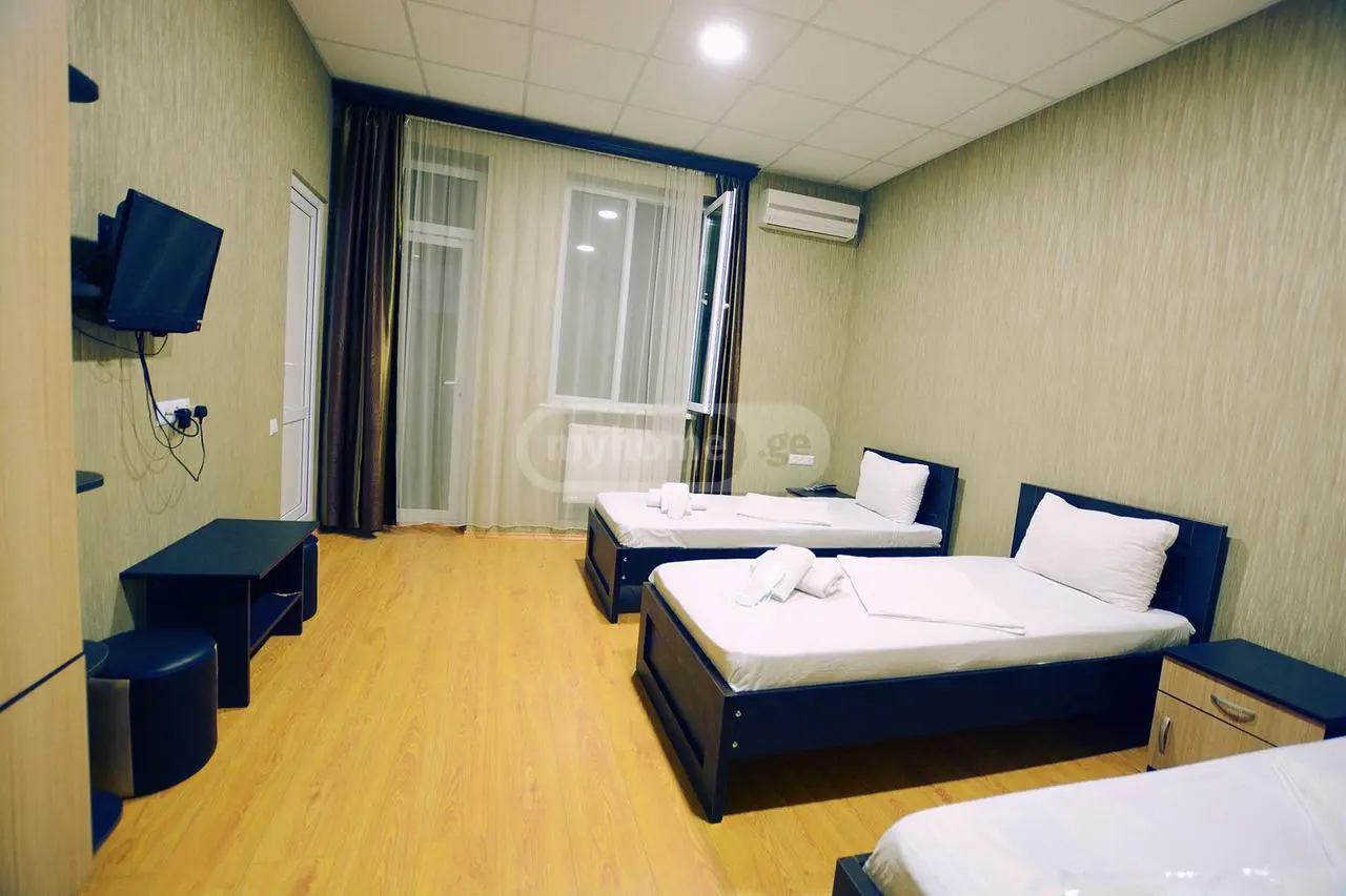 For Sale 10+ Room Sastumro Varketilshi, 4 of 12