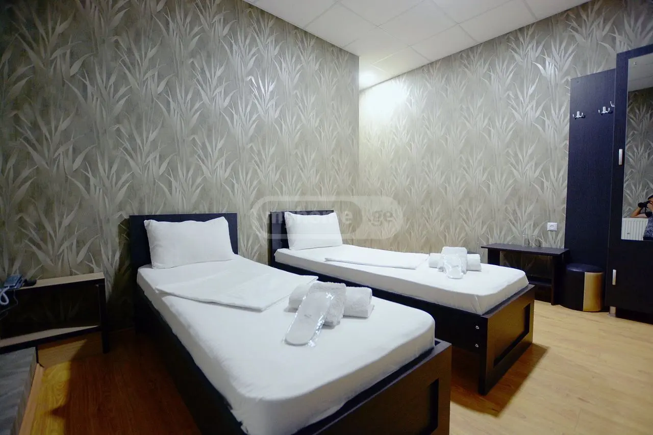 For Sale 10+ Room Sastumro Varketilshi, 2 of 12