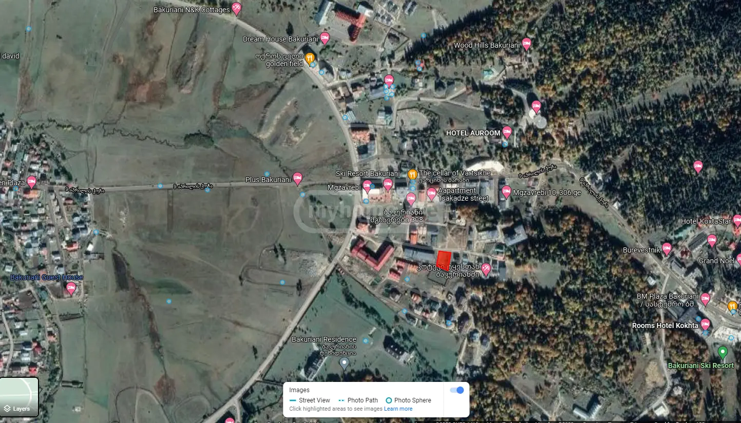 For Sale Ara Sasoplo-Sameurneo Land Plot Bakurianshi, 3 of 7