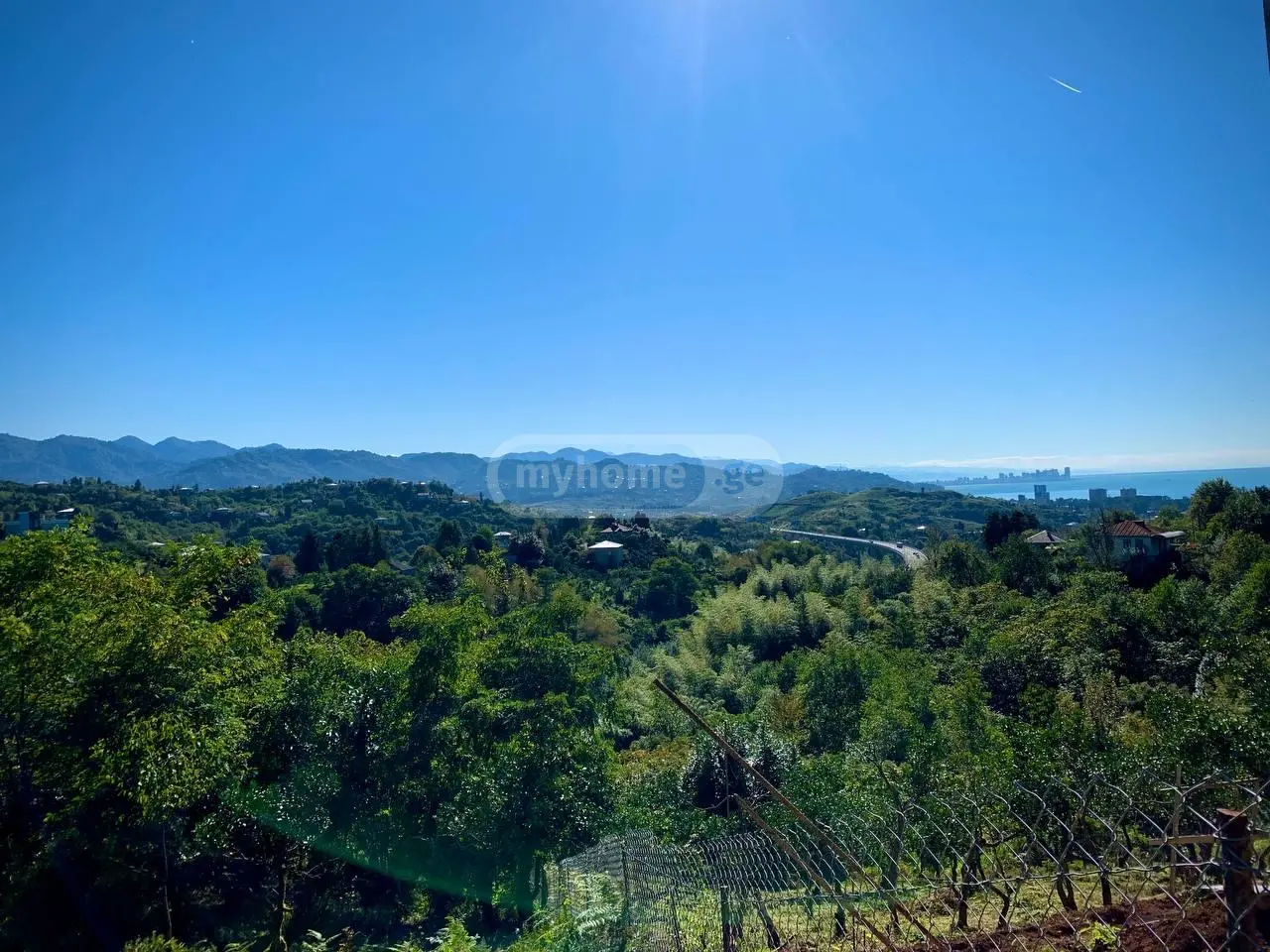 For Sale Sasoplo-Sameurneo Land Plot Kobuletis Munitsipalitetshi view 4
