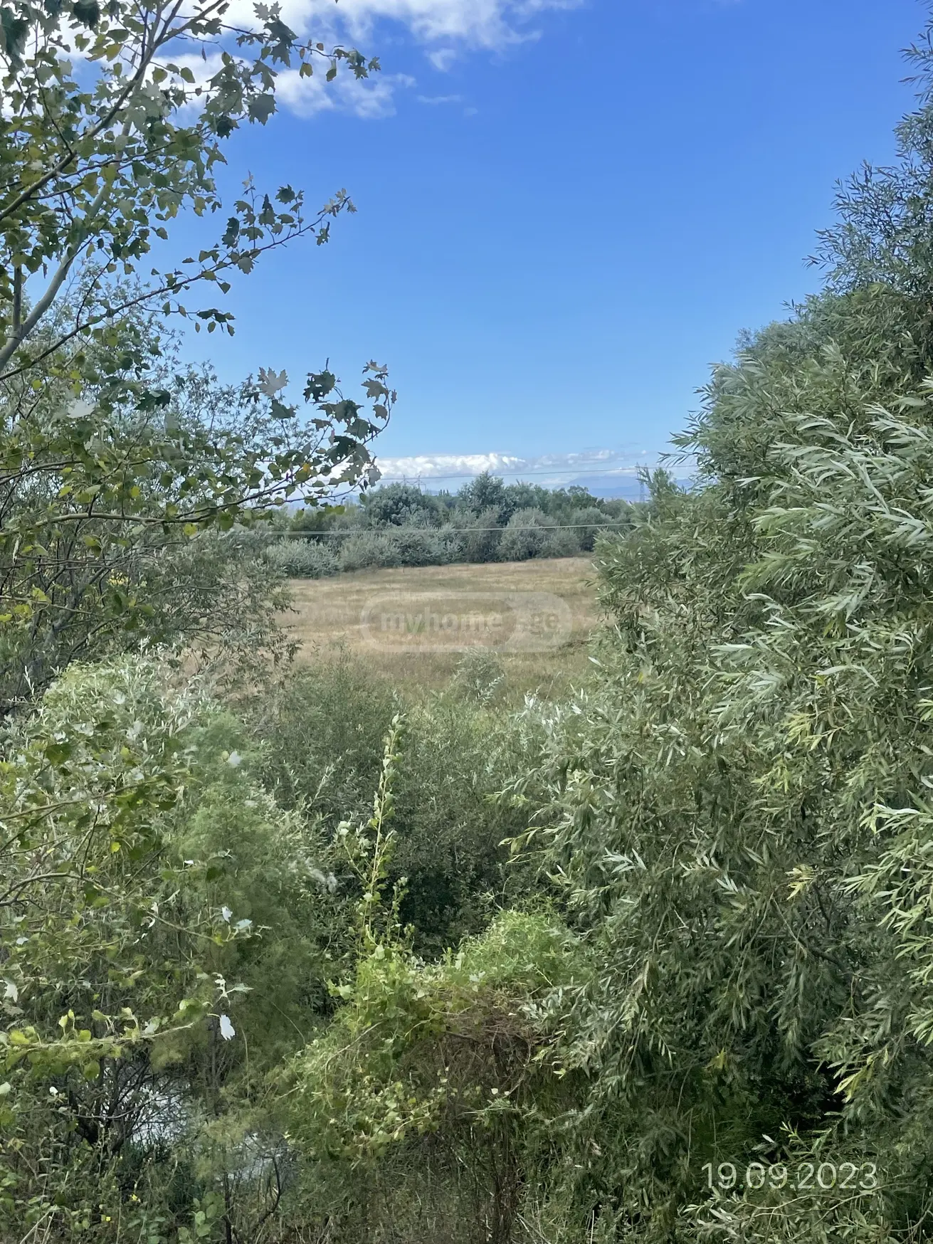 For Sale Sasoplo-Sameurneo Land Plot Gorshi view 2