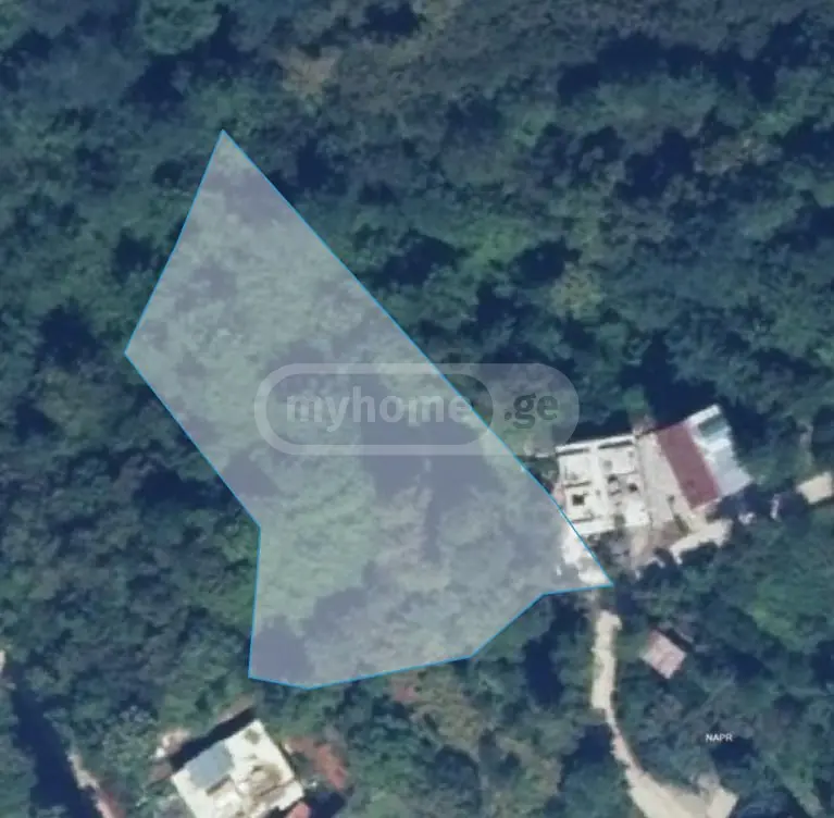 For Sale Sasoplo-Sameurneo Land Plot In Batumi view 1
