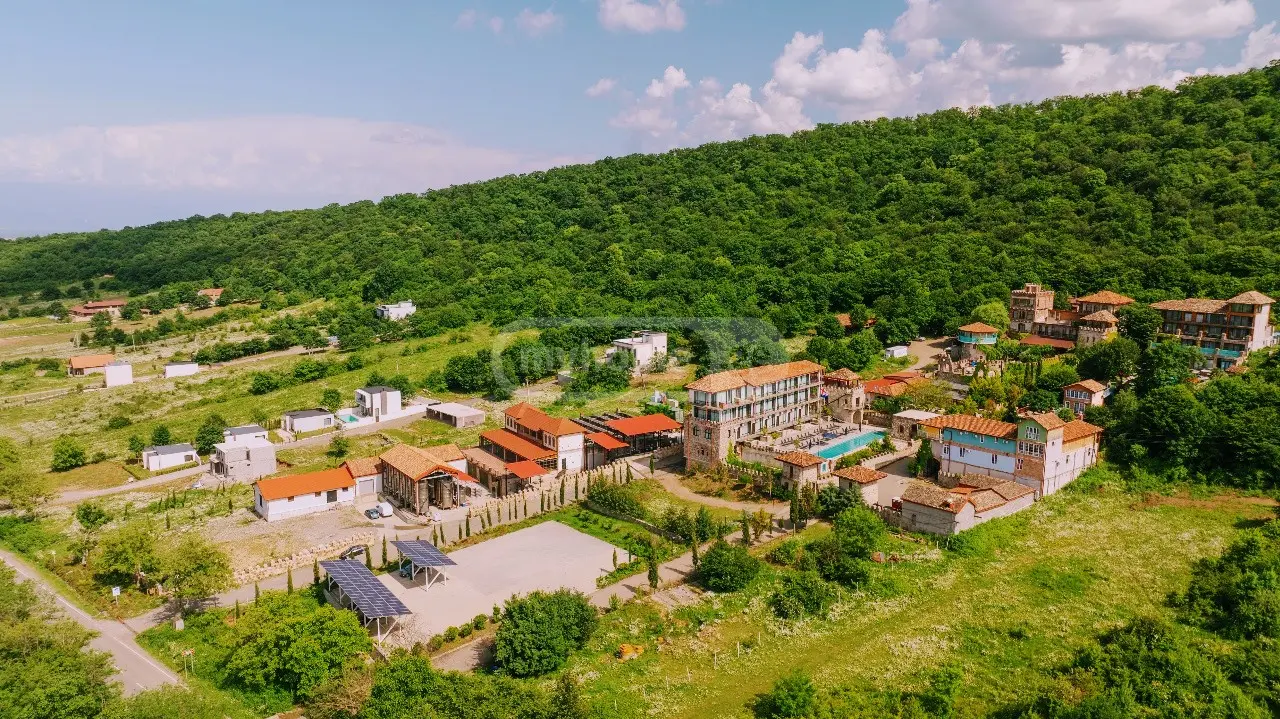 For Rent 3 Room Country House Telavshi view 3