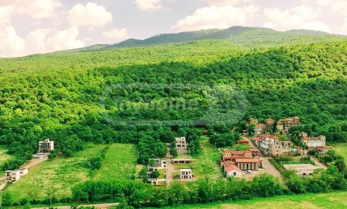 For Rent 3 Room Country House Telavshi view 6