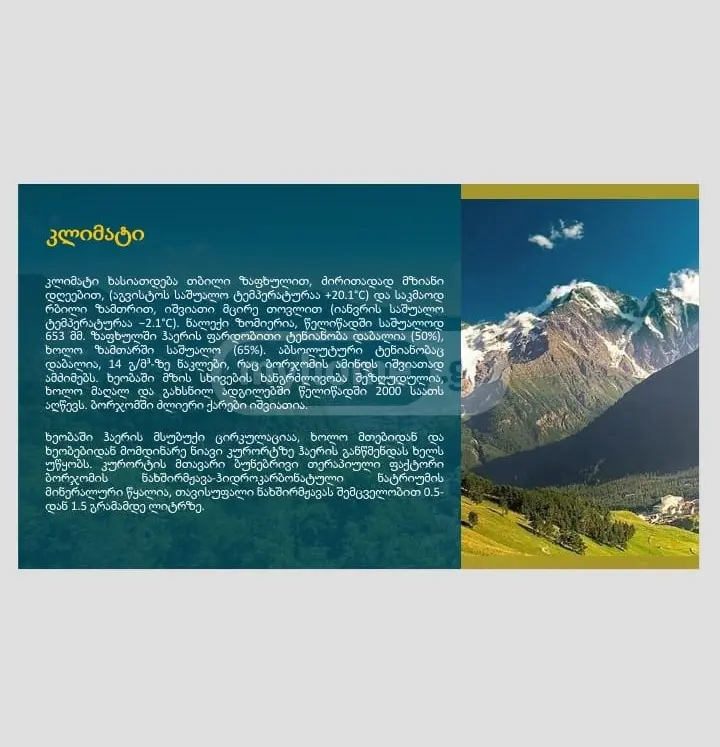 For Sale Sainvestitsio Land Plot Borjomis Munitsipalitetshi view 8