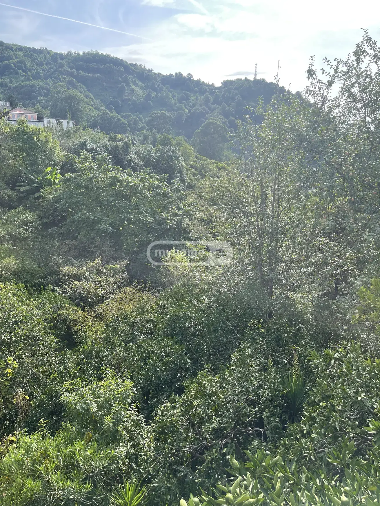 For Sale 5 Room Private House view 7