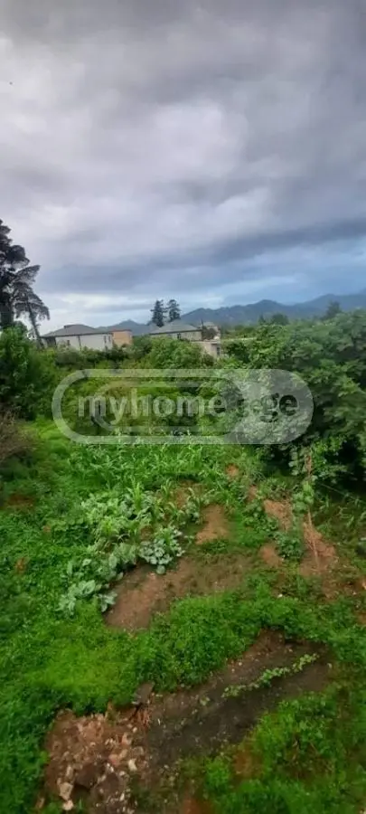 For Sale Ara Sasoplo-Sameurneo Land Plot In Batumi view 5
